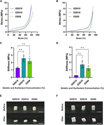 Surfactant-free gelatin-stabilised biodegradable polymerised high internal phase emulsions with macroporous structures